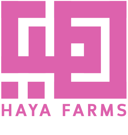 hayawholesale